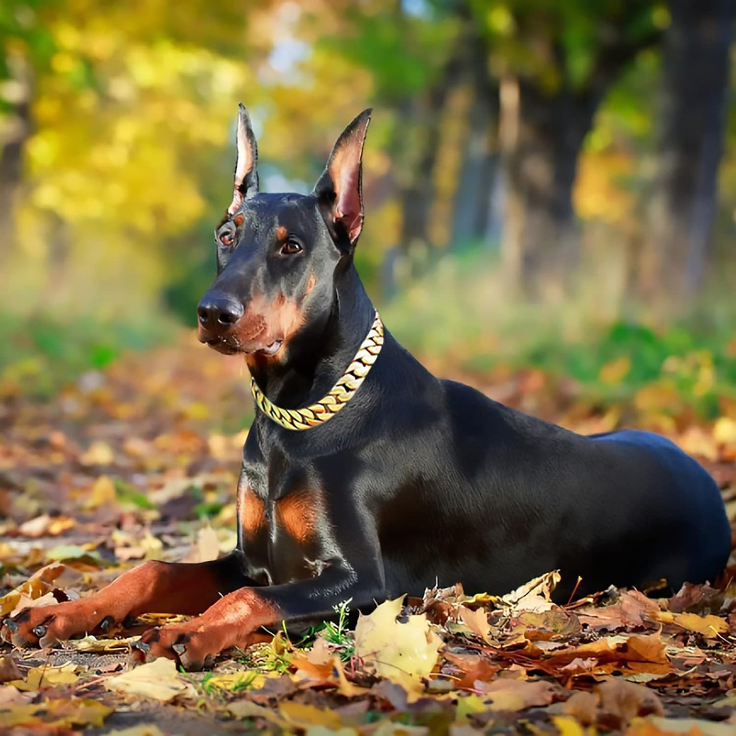 Big Dog Chain Collar with Buckle Strong Heavy Duty 32MM Thick Wide Stainless Steel Metal 18K Gold Cuban Link Chain Collar for Large Dogs